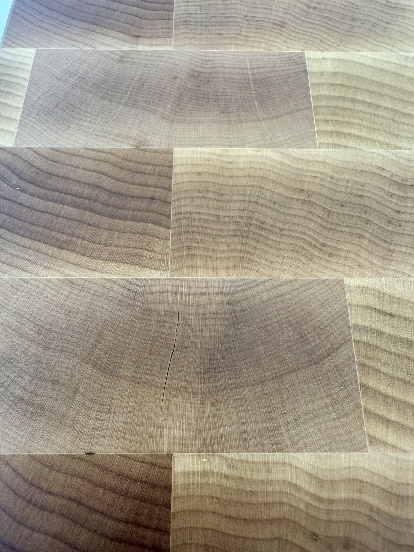 1016 Maple 24 x 18 x 2 One Off